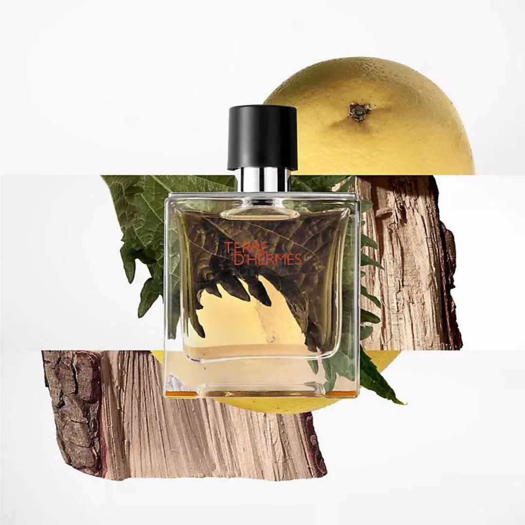 TERRE D’HERMÈS PARFUM – DECANTAGE
