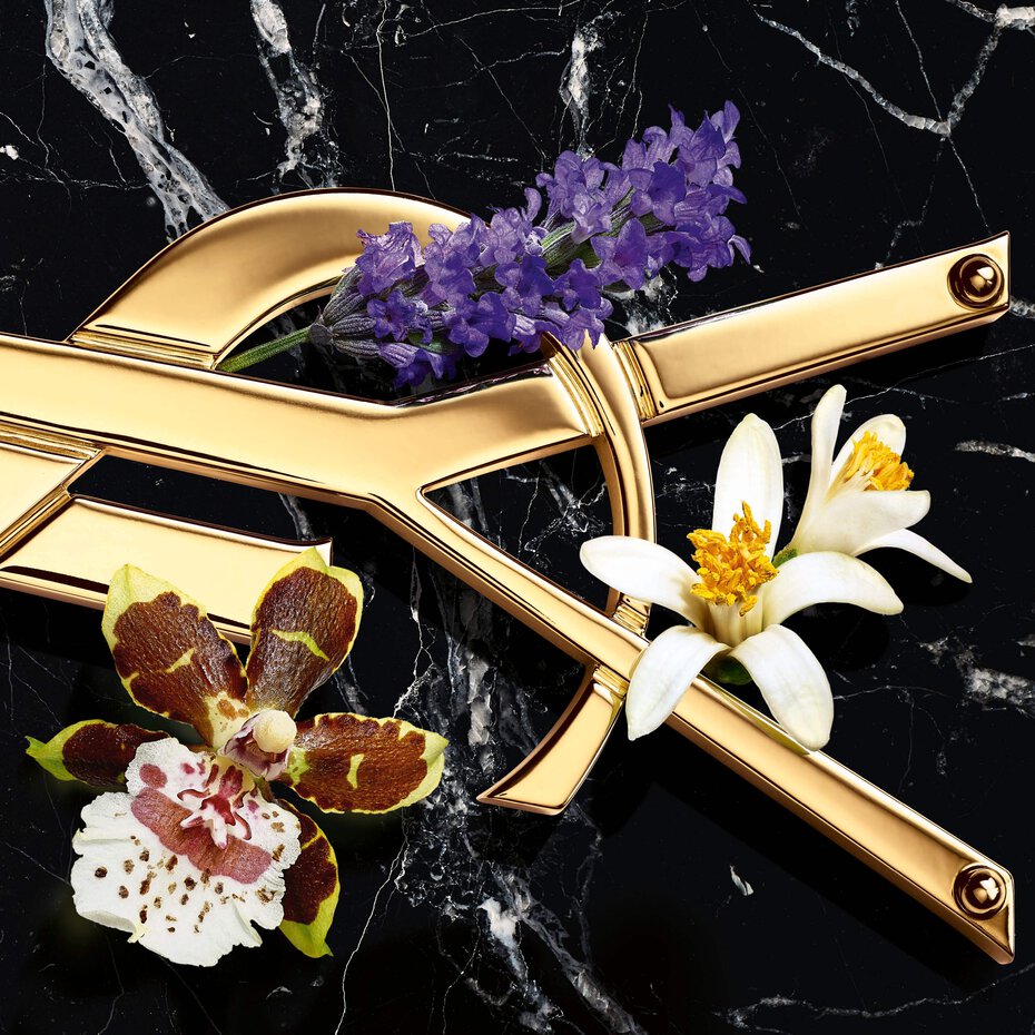 Libre Intense Yves Saint Laurent